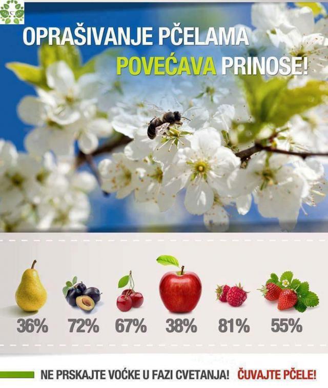 ZNAČAJ PČELA